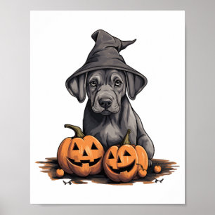 Affiche Halloween sorcière Casquette chien Citrouille Grea