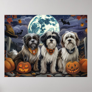 Affiche Halloween Tibétain Terrier Éffrayant