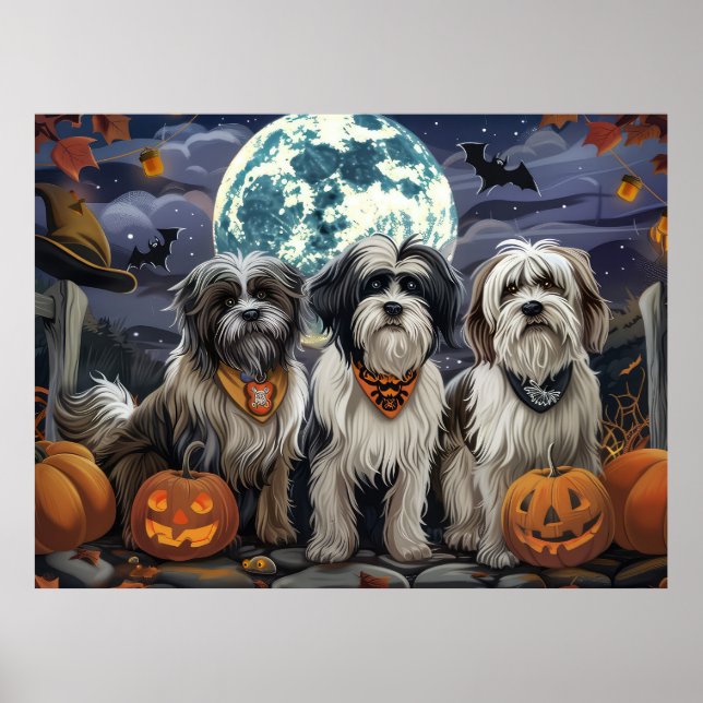 Affiche Halloween Tibétain Terrier Éffrayant (Devant)