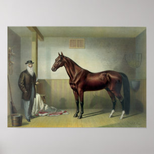 Affiche Hambletonian de Rysdyk - 1876