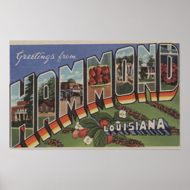Affiche Hammond, Louisiane - Scènes de grandes lettres (Devant)