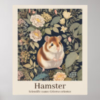 Hamster Nom scientifique Animal