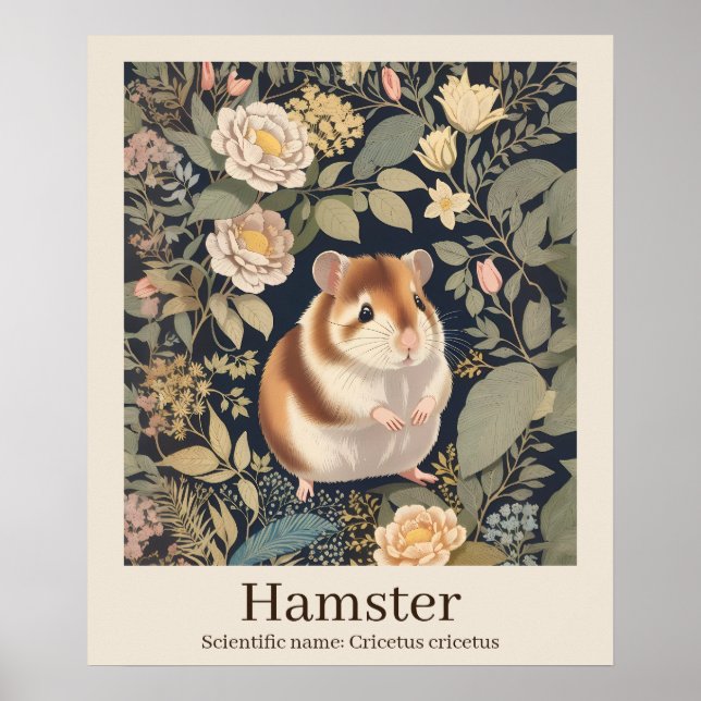 Affiche Hamster Nom scientifique Animal (Devant)
