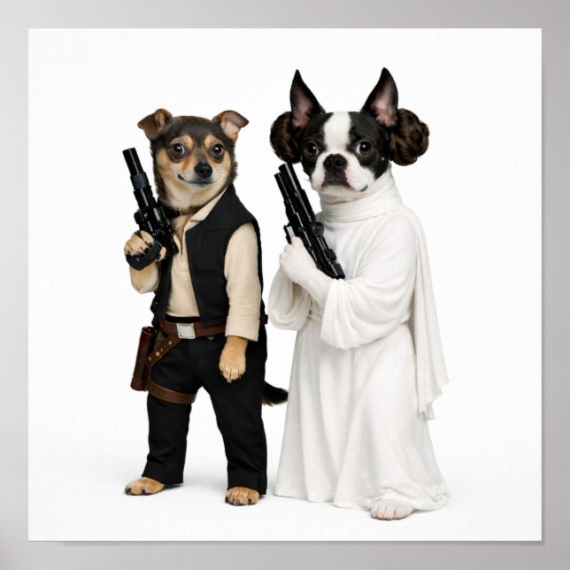 Affiche "Han & Leia" (Devant)