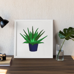 Affiche Hand drawn Aloe Vera Plant