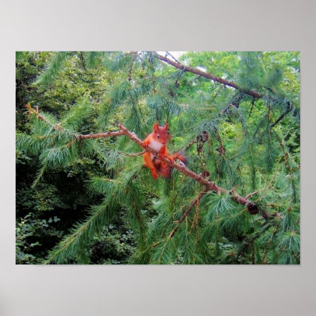 Affiche Hanging in There (Devant)