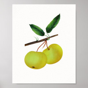Affiche Hanging Soulard Pomme Fruit