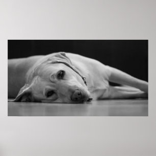 Affiche Hank "UNE" toile