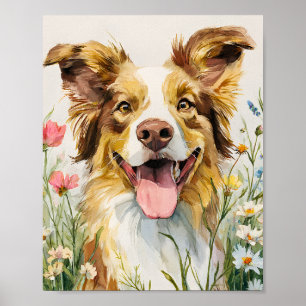 Affiche Happy Australian Shepherd in Flowers - Aquarelle