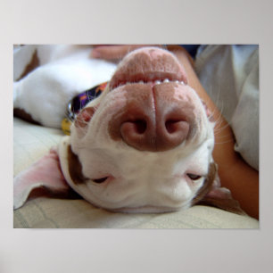 Affiche Happy Dog Print