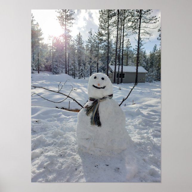Affiche Happy Snowman photos d'hiver originales (Devant)
