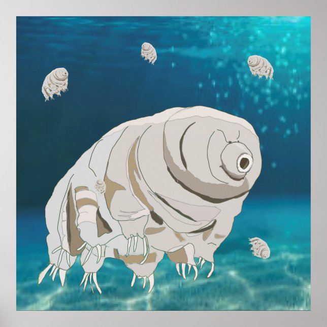 Affiche Happy Tardigrade floating under water (Devant)