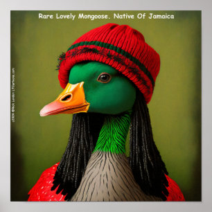 Affiche Hararious Jamaïcain Reggae