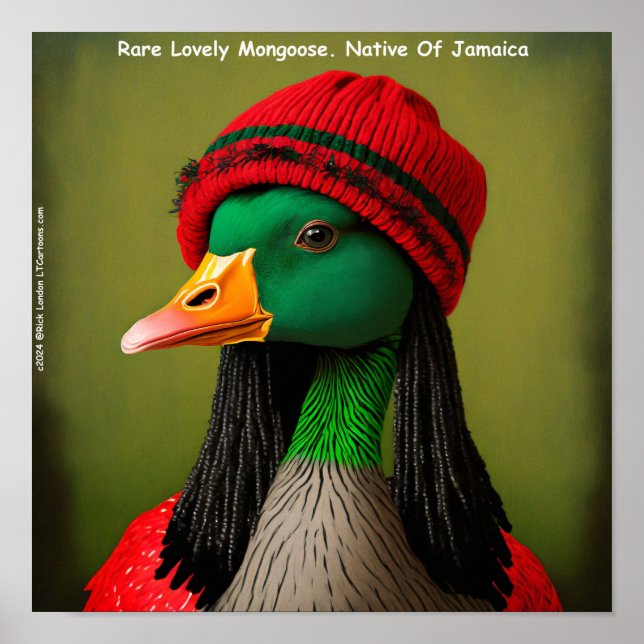 Affiche Hararious Jamaïcain Reggae (Devant)