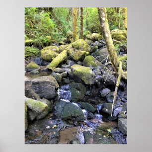 Affiche Hardy Creek, Oregon