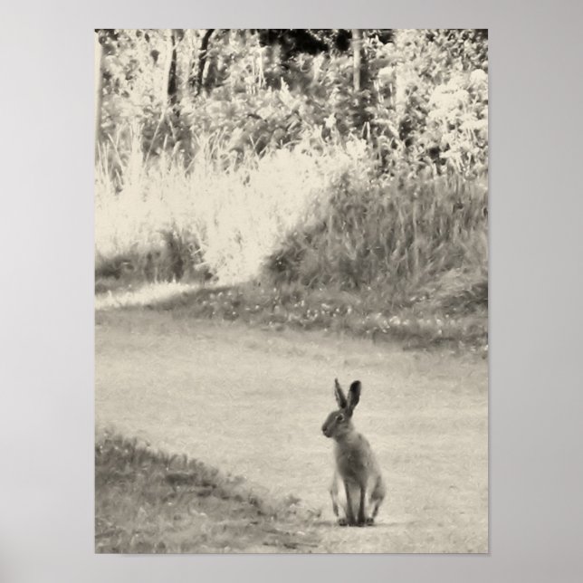 Affiche Hare aujourd'hui (Devant)
