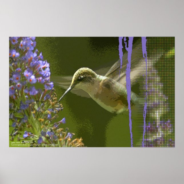 Affiche Harmonie des colibris par Gregory Gallo (Devant)