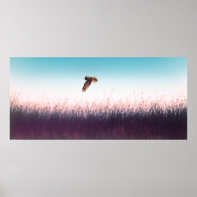 Affiche Harrier Hawk (Devant)