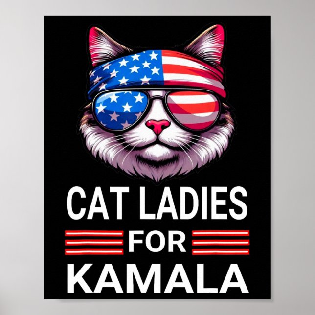 Affiche Harris Wheimer 2024 Funny Cat Election Kamala Harr (Devant)