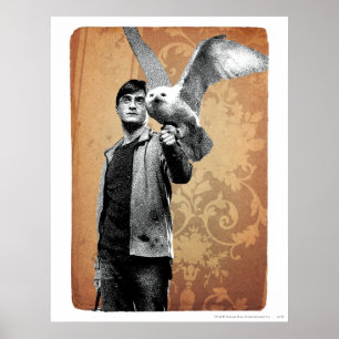 Affiche Harry Potter 12