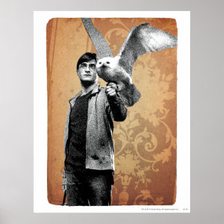 Affiche Harry Potter 12