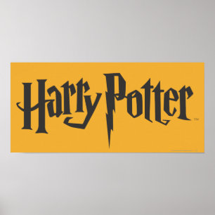Affiche Harry Potter 2