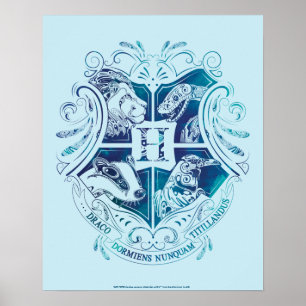 Affiche Harry Potter   Aguamenti Blason HOGWARTS™