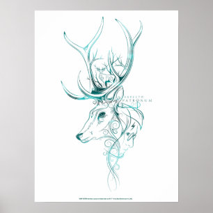 Affiche Harry Potter   Aguamenti EXPECTO PATRONUM™ Cerf