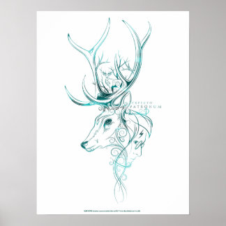 Affiche Harry Potter | Aguamenti EXPECTO PATRONUM™ Stag