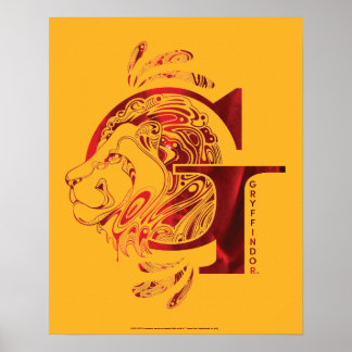 Affiche Harry Potter | Aguamenti GRYFFINDOR™ Graphique
