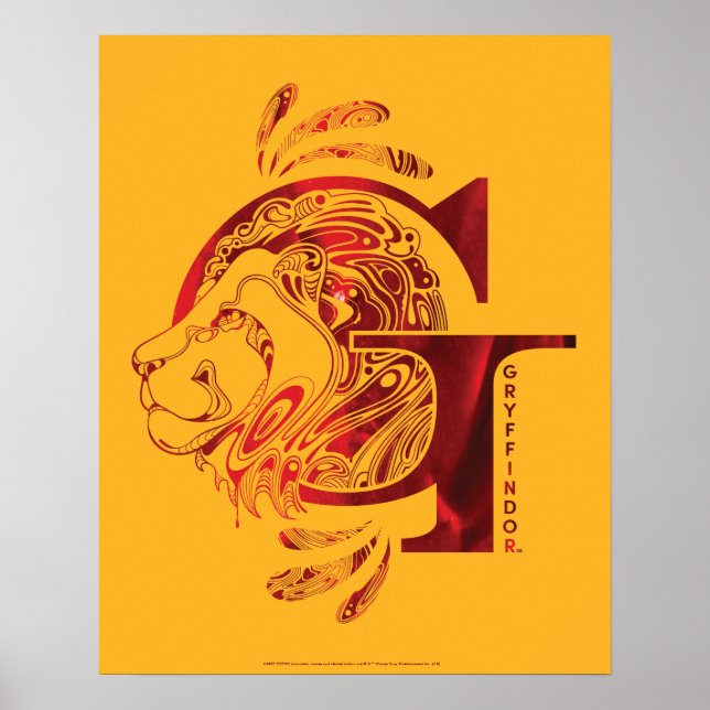 Affiche Harry Potter | Aguamenti GRYFFINDOR™ Graphique (Devant)