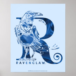 Affiche Harry Potter   Aguamenti RAVENCLAW™ Graphique