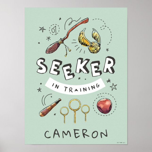 Affiche HARRY POTTER™ | Apprenti Attrapeur (Devant)