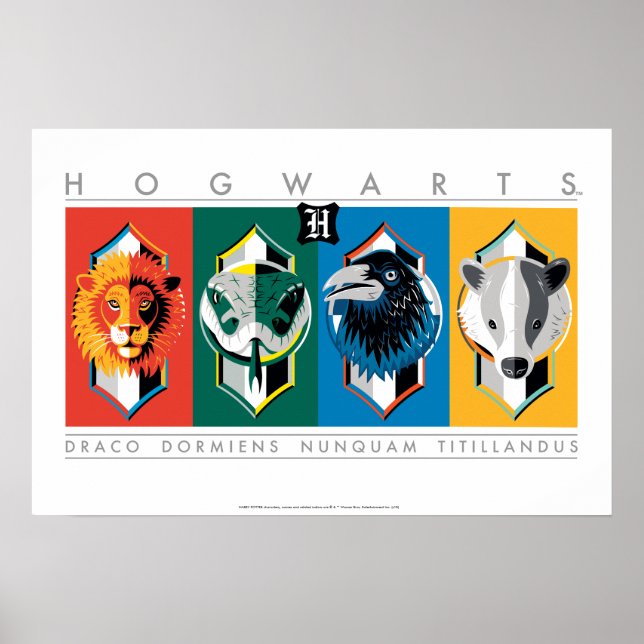Affiche Harry Potter | Armoiries de la maison HOGWARTS™ (Devant)
