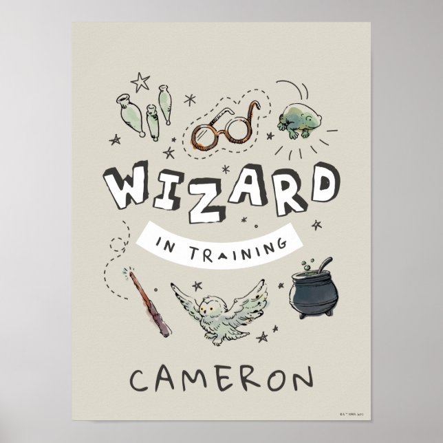 Affiche HARRY POTTER™ | Assistant dans la formation (Devant)