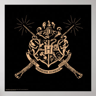 Affiche Harry Potter| Crête de laine traversée de nageoire