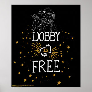 Affiche Harry Potter | Dobby Is Free