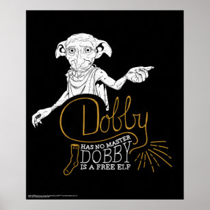 Affiche Harry Potter   Dobby N'A Pas De Maître