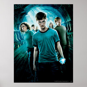 Affiche HARRY POTTER ET L'ORDRE DU PHÉNIX™ Bleu