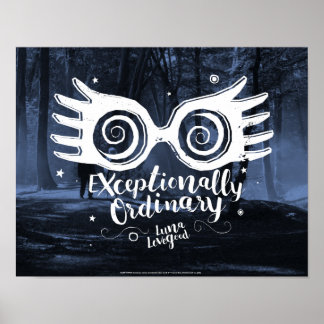 Affiche Harry Potter | Exceptionnellement ordinaire