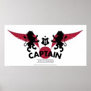 Affiche Harry Potter GRYFFINDOR™ House Quidditch Captain