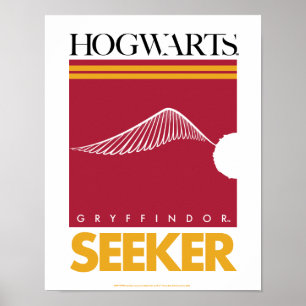 Affiche Harry Potter GRYFFINDOR™ House Quidditch Seeker