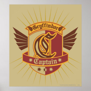 Affiche Harry Potter Gryffindor QUIDDITCH � capitaine Em