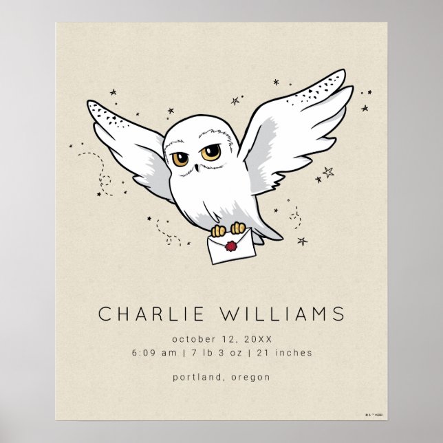 Affiche Harry Potter | Hedwig Baby Birth Stats (Devant)