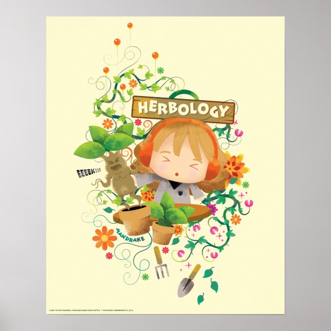 Affiche Harry Potter | Hermione Cours d'Herboristerie Grap (Devant)