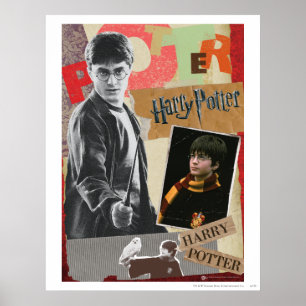Affiche Harry Potter hier et aujourd'hui