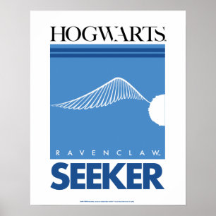 Affiche Harry Potter   RAVENCLAW™ House Quidditch Seeker