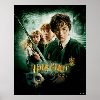 Affiche Harry Potter Ron Hermione Dobby Photo de Groupe