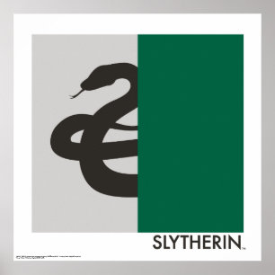 Affiche Harry Potter   Slytherin