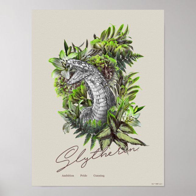 Affiche HARRY POTTER™ SLYTHERIN™ Floral Graphisme (Devant)